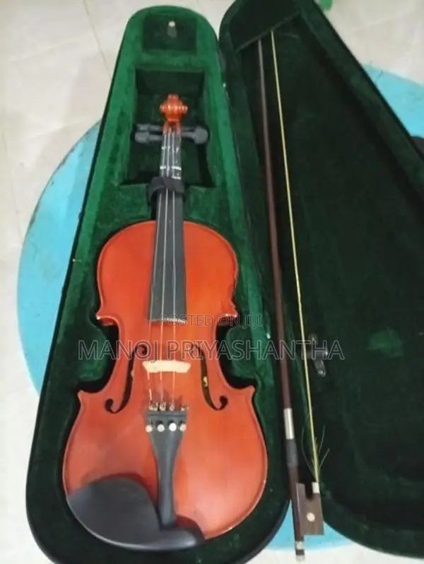 Violin