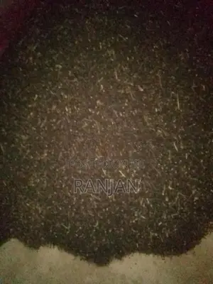 උඳු බිජ