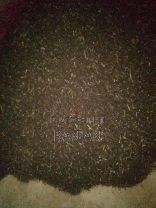 උඳු බිජ