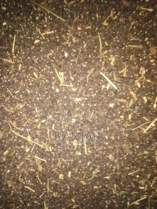 උඳු බිජ
