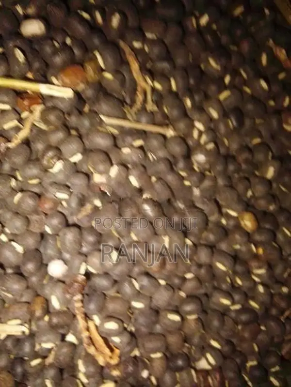 උඳු බිජ