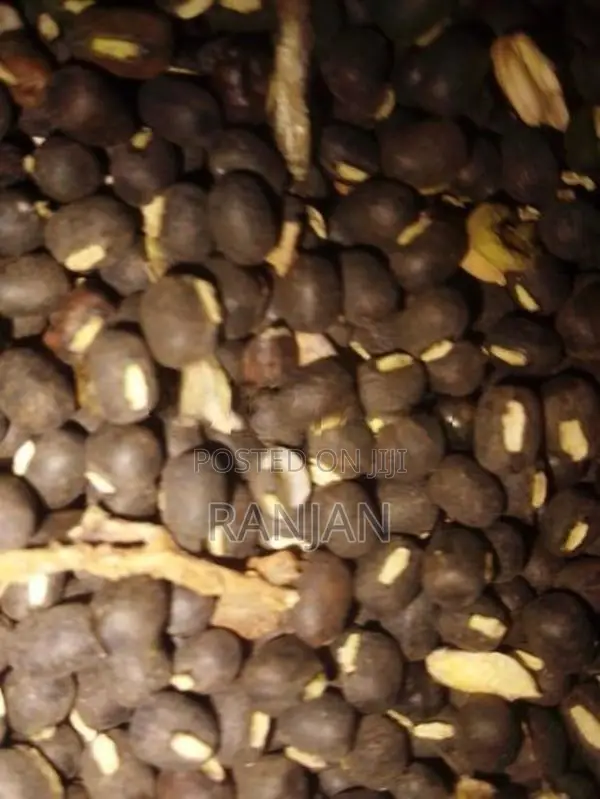 උඳු බිජ