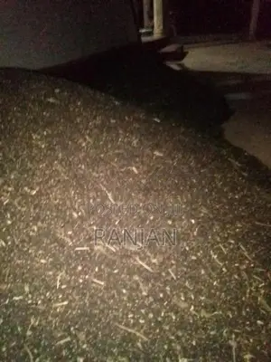 උඳු බිජ