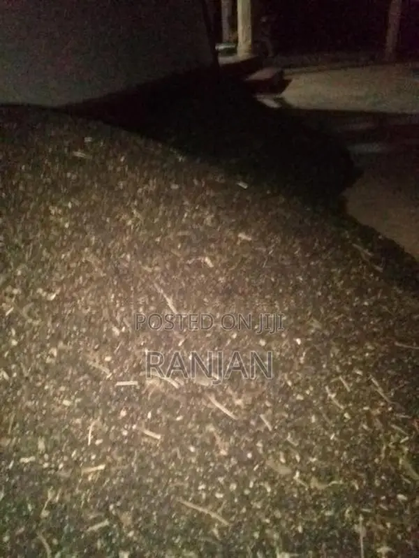 උඳු බිජ