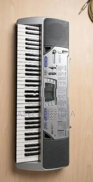 Casio Electric Piano