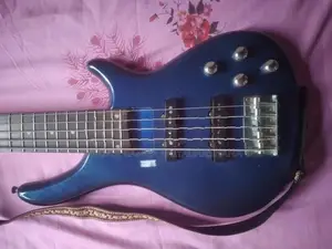 5 String Bas Guitar