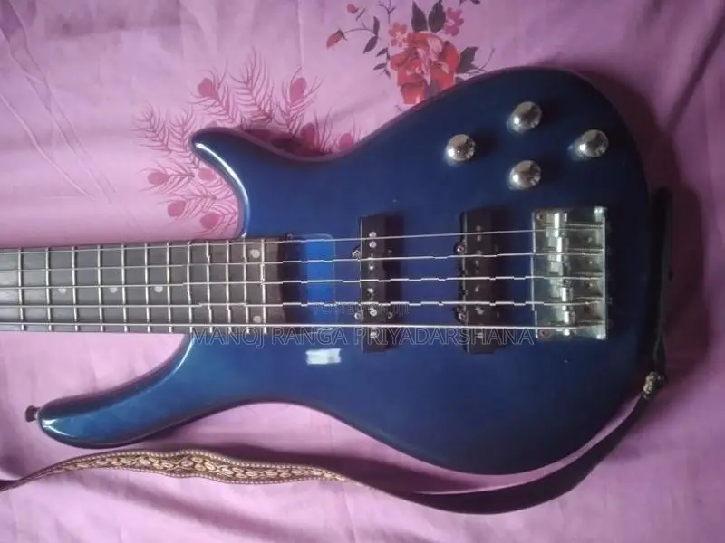 5 String Bas Guitar