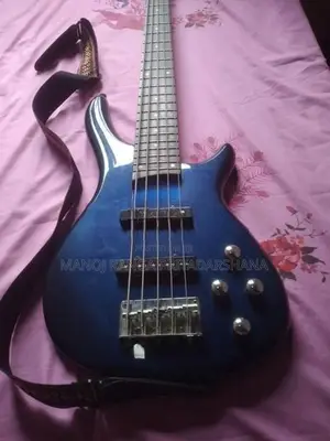 5 String Bas Guitar