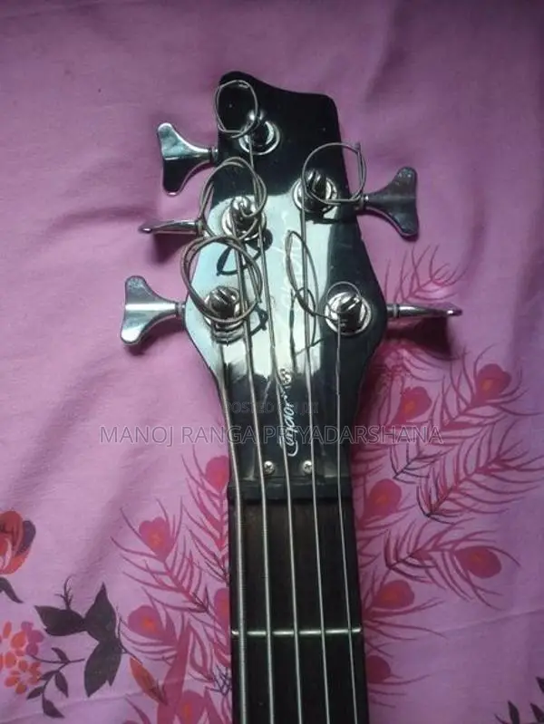 5 String Bas Guitar