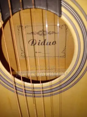 Guitar