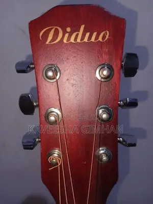Guitar