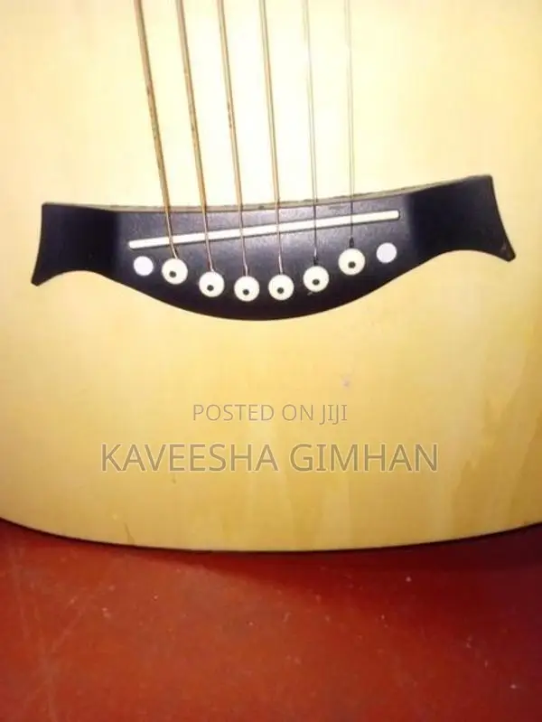 Guitar