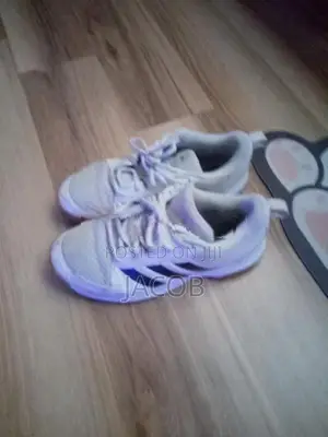 pair of used but still usable Adidas Lakers for the best price