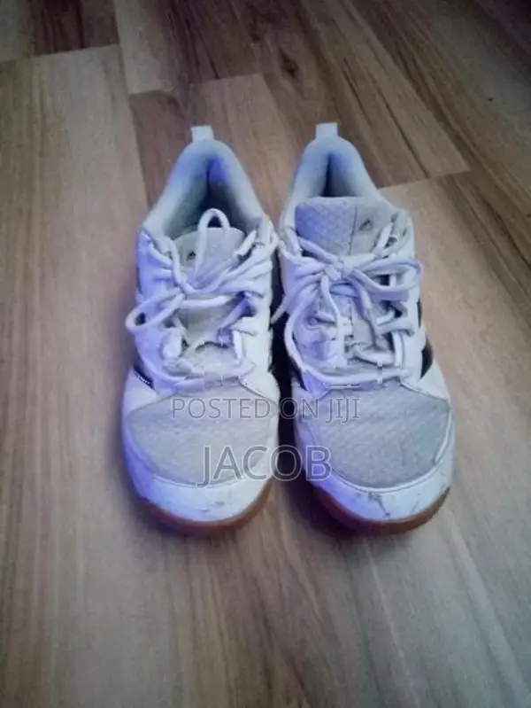 pair of used but still usable Adidas Lakers for the best price