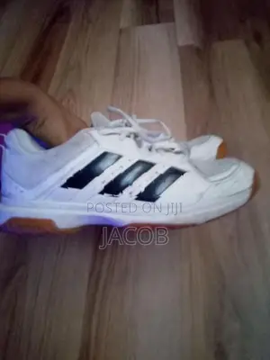 pair of used but still usable Adidas Lakers for the best price