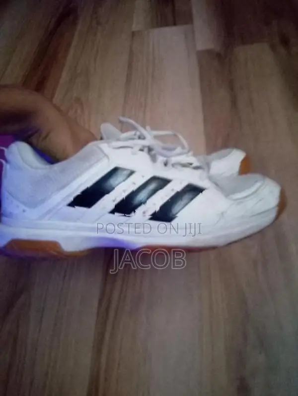 pair of used but still usable Adidas Lakers for the best price