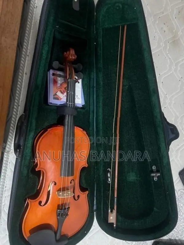 Violin