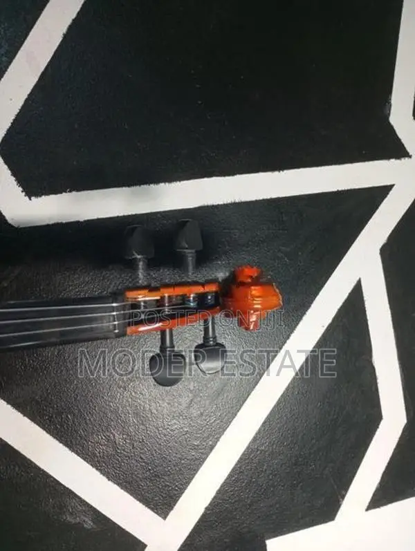 Violin