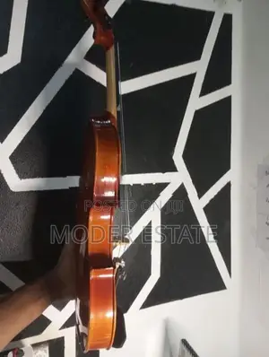 Violin