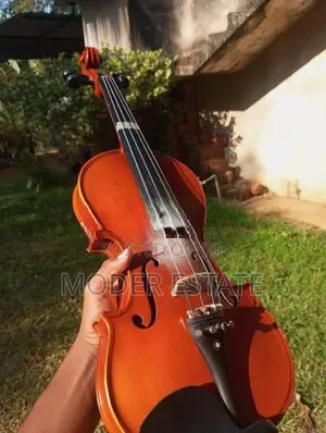 Violin