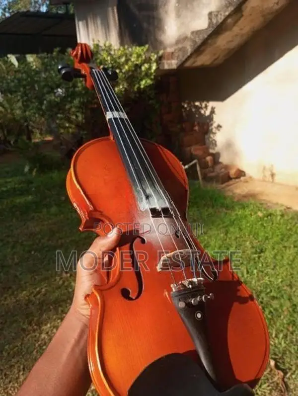 Violin