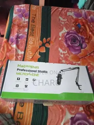 Haomuren studio mic