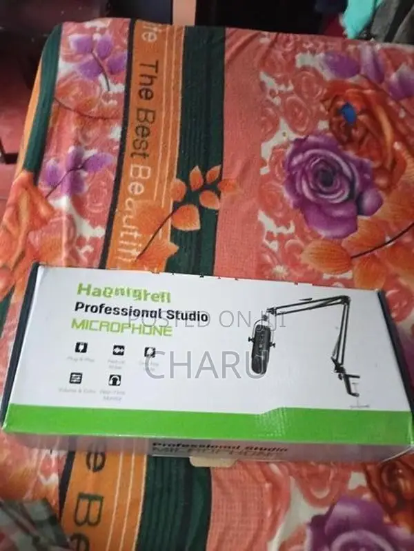 Haomuren studio mic
