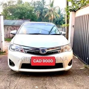 Toyota Axio 2014 Car (Used)