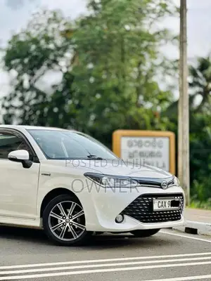 Toyota Axio 2017 Car (Used)