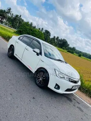 Toyota Axio 2015 Car (Used)