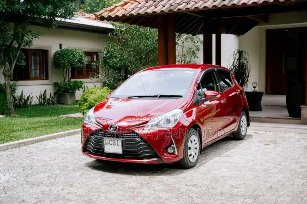 Toyota Vitz 2019 Car (Used)