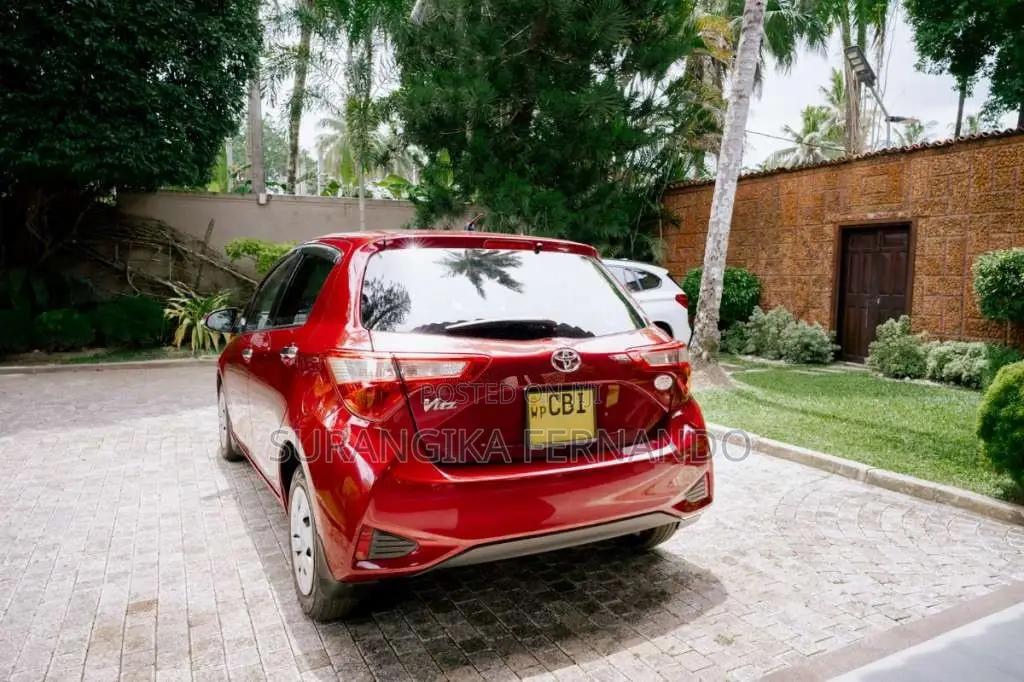 Toyota Vitz 2019 Car (Used)