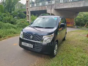 Suzuki Wagon R FX 2015 Car (Used)
