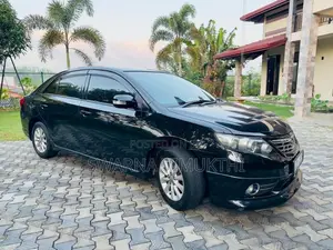Toyota Allion 2010 Car (Used)