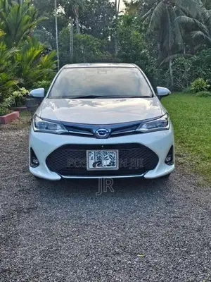 Toyota Axio Wxb 2018 Car (Used)