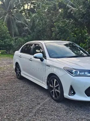 Toyota Axio Wxb 2018 Car (Used)