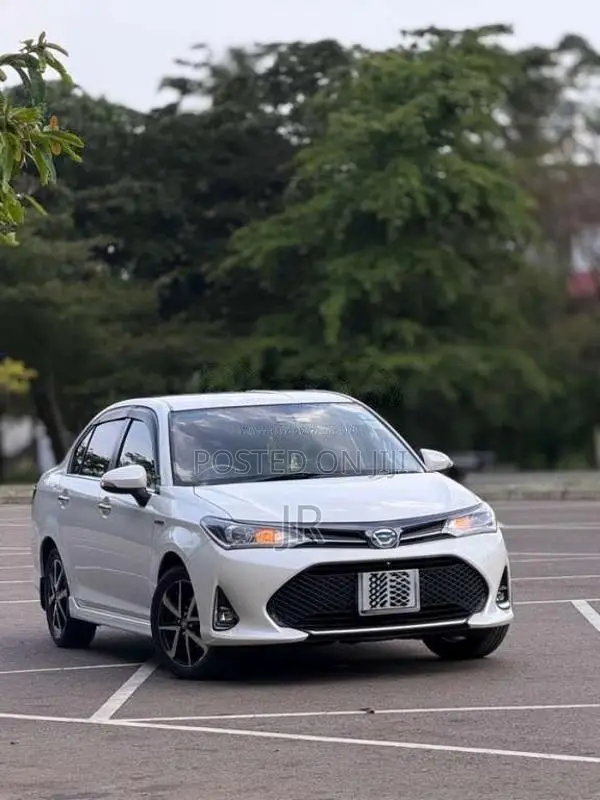 Toyota Axio Wxb 2018 Car (Used)