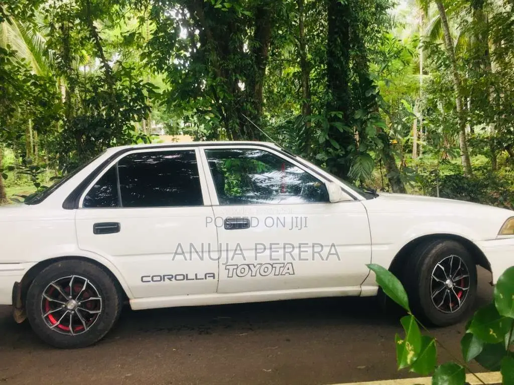 Toyota Corolla 1991 Car (Used)
