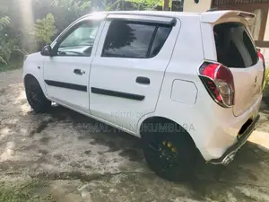 Suzuki Alto 2015 Car (Used)
