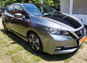 Nissan Leaf 2018 Car (Used)