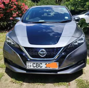 Nissan Leaf 2018 Car (Used)