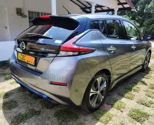 Nissan Leaf 2018 Car (Used)