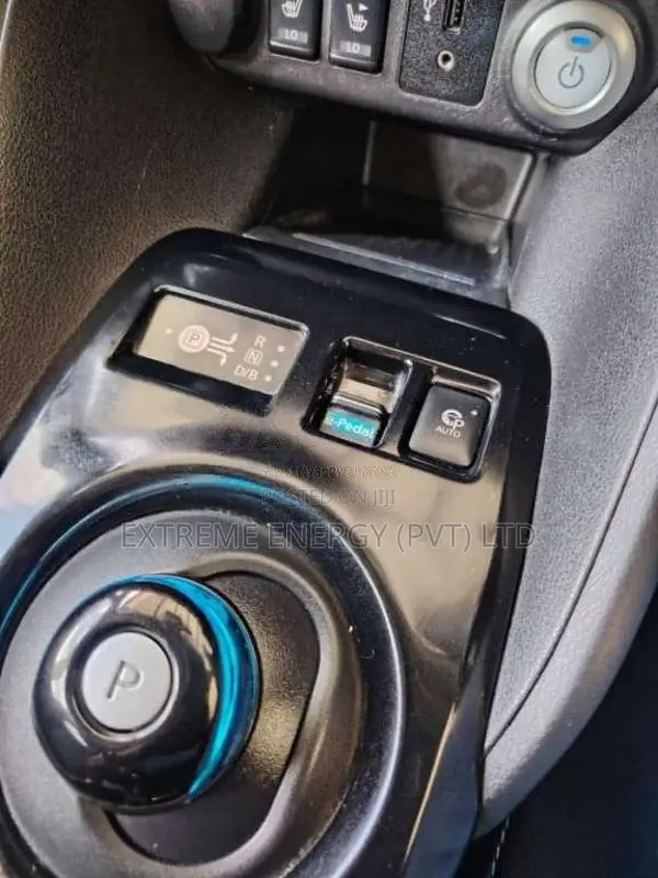 Nissan Leaf 2018 Car (Used)