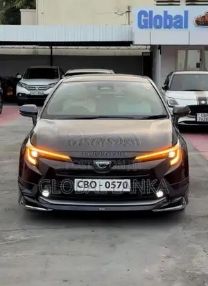 Toyota Corolla WXB Midnight Purple 2023 Car (Used)