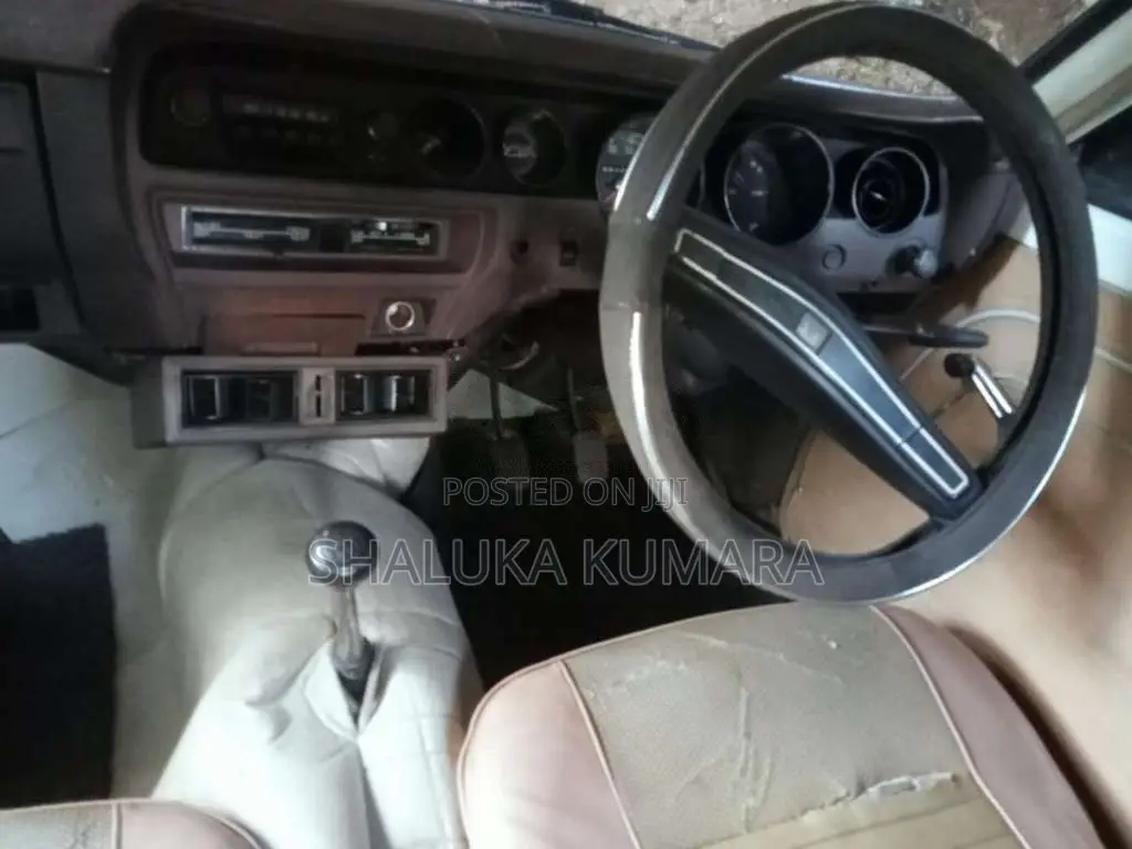 Mitsubishi Lancer Flat Light 1979 Car (Used)