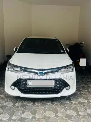 Toyota Axio 2017 Car (Used)