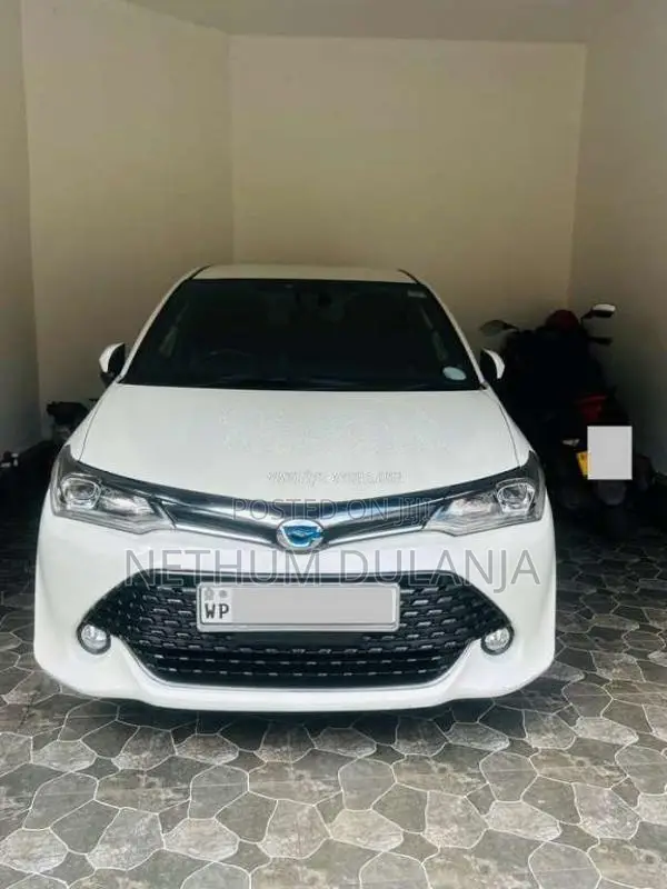 Toyota Axio 2017 Car (Used)