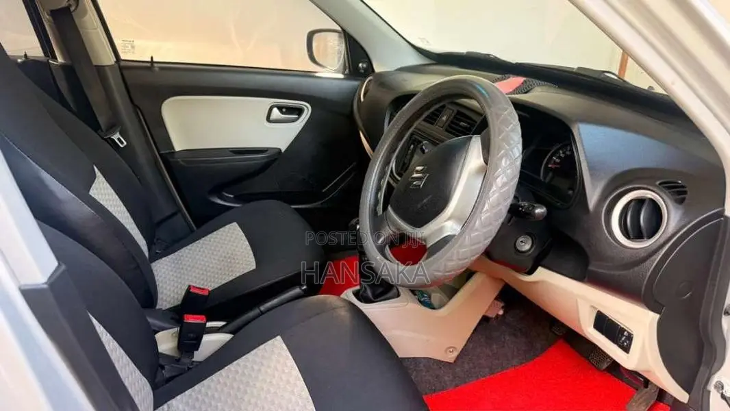 Suzuki Alto 2019 Car (Used)
