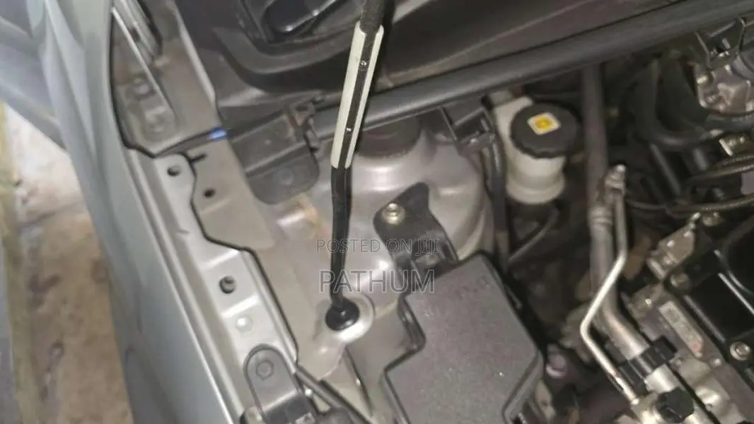 Toyota Yaris 2024 Car (Used)