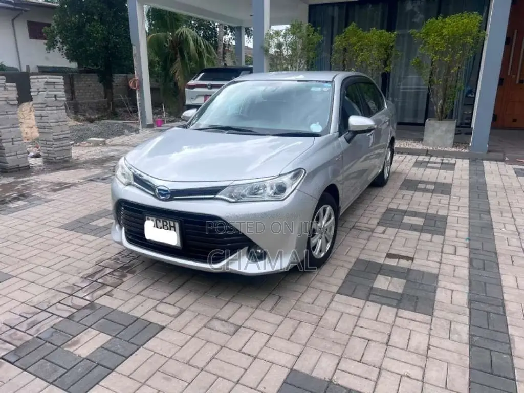 Toyota Axio 2018 Car (Used)